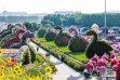 Miracle Garden Dubai&nbsp;